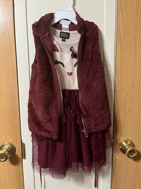 3T/4t Bundle Burgundy Faux Fur Vest with Pink Heart Bodice Tulle Dress